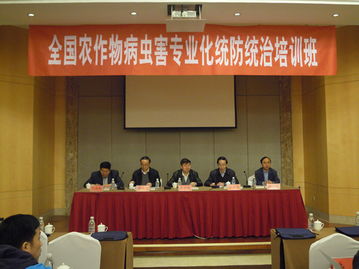 技術推廣服務中心 引領創(chuàng)新成果轉化的專業(yè)平臺