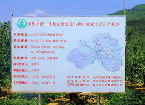 技術(shù)推廣服務(wù)中心 連接創(chuàng)新與市場(chǎng)的橋梁